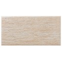 SANDSTONE BEIGE 30X60